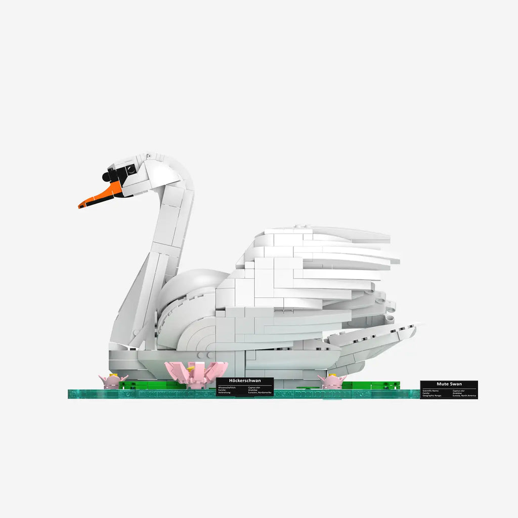 BlueBrixx-Pro - Höckerschwan