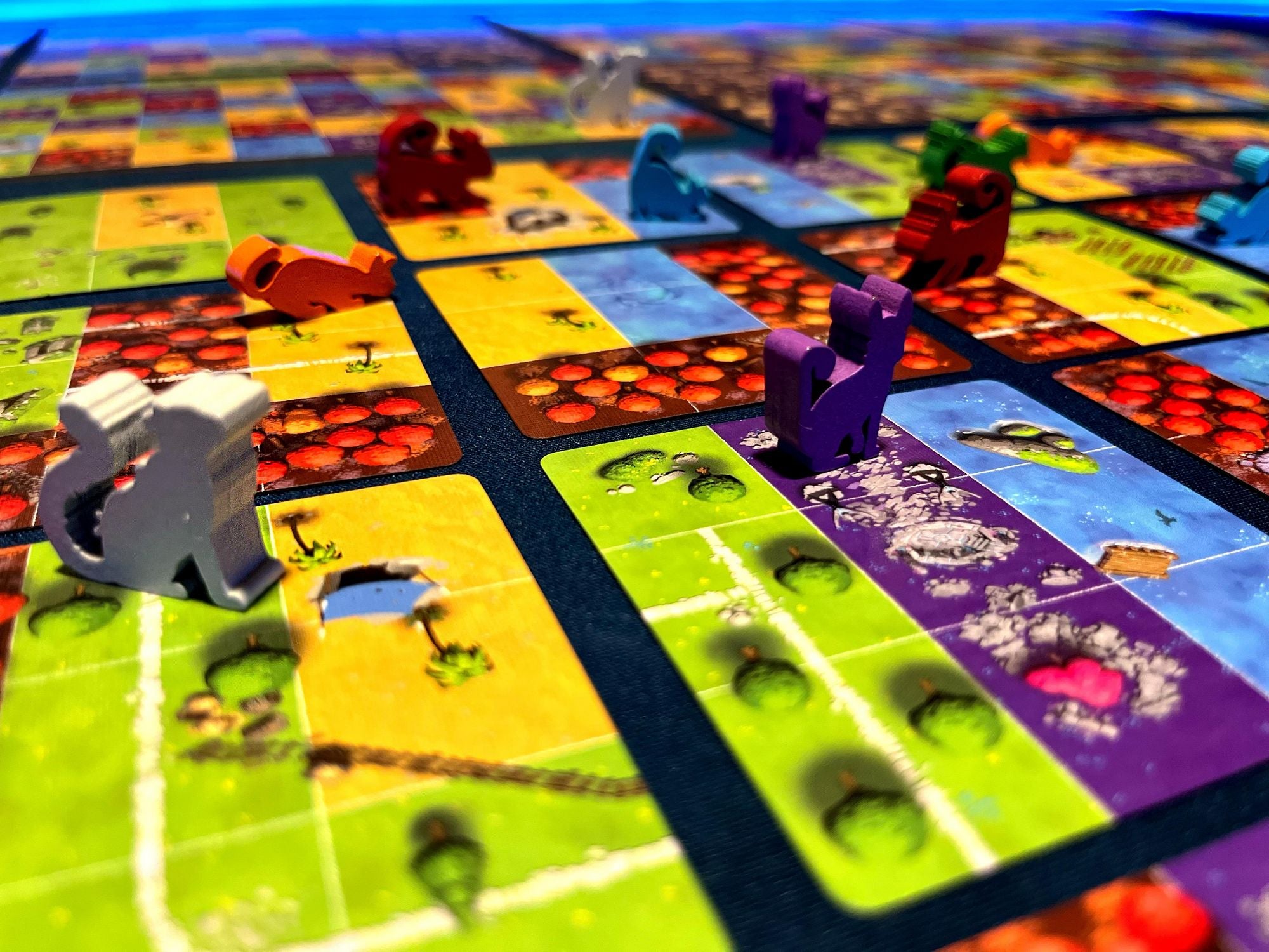 Los zum Floß - kooperatives Brettspiel - ab 10 Jahren