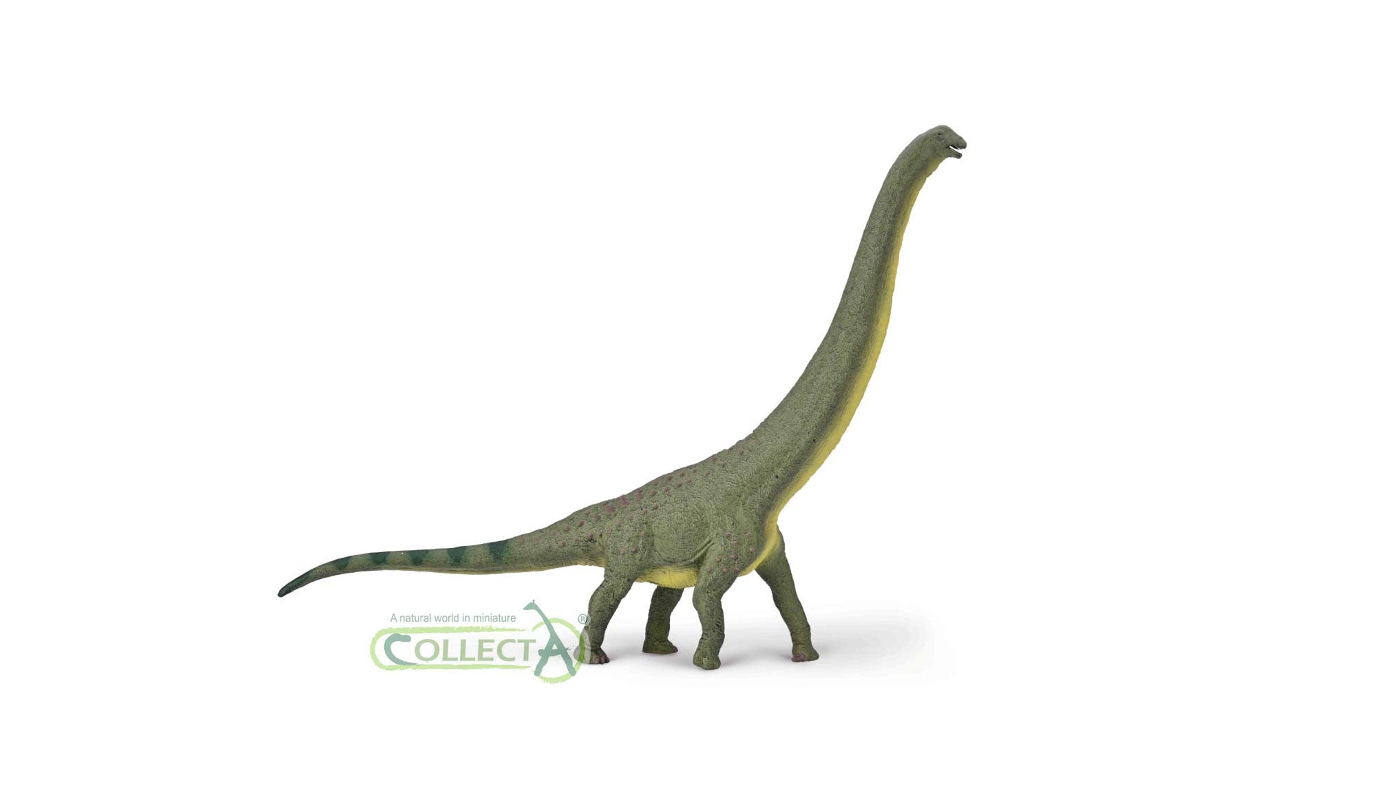 CollectA - 80005 - DREADNOUGHTUS 1:100 (DELUXE)
