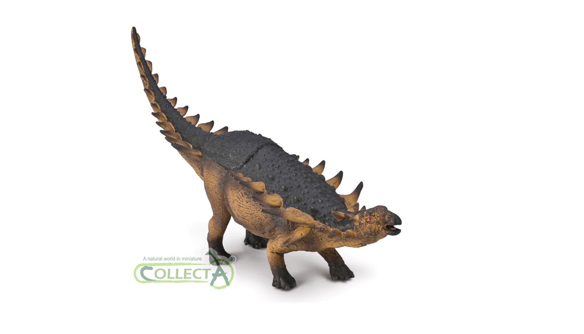 CollectA - 80007 - POLACANTHUS 1:20 (DELUXE)