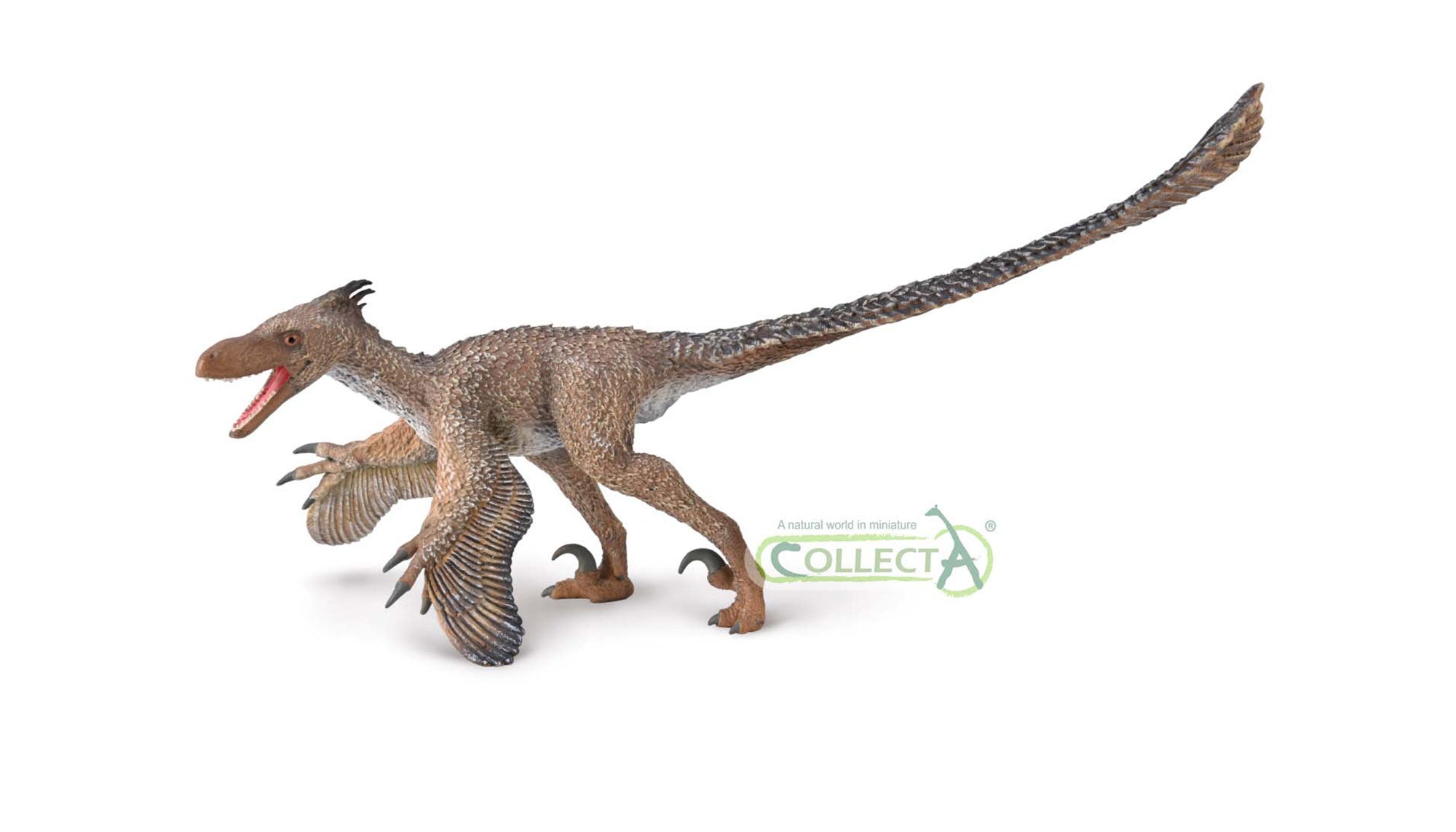 CollectA - 80010 - VELOCIRAPTOR MIT BEWEGLICHEM KIEFER 1:6 (DELUXE)