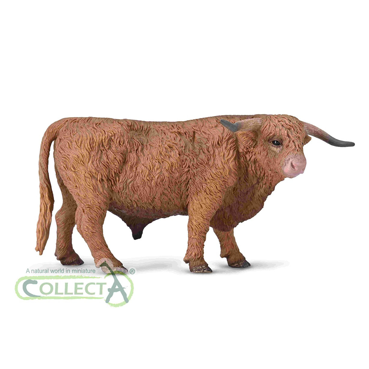 CollectA - 80011 - HOCHLANDBULLE (L)