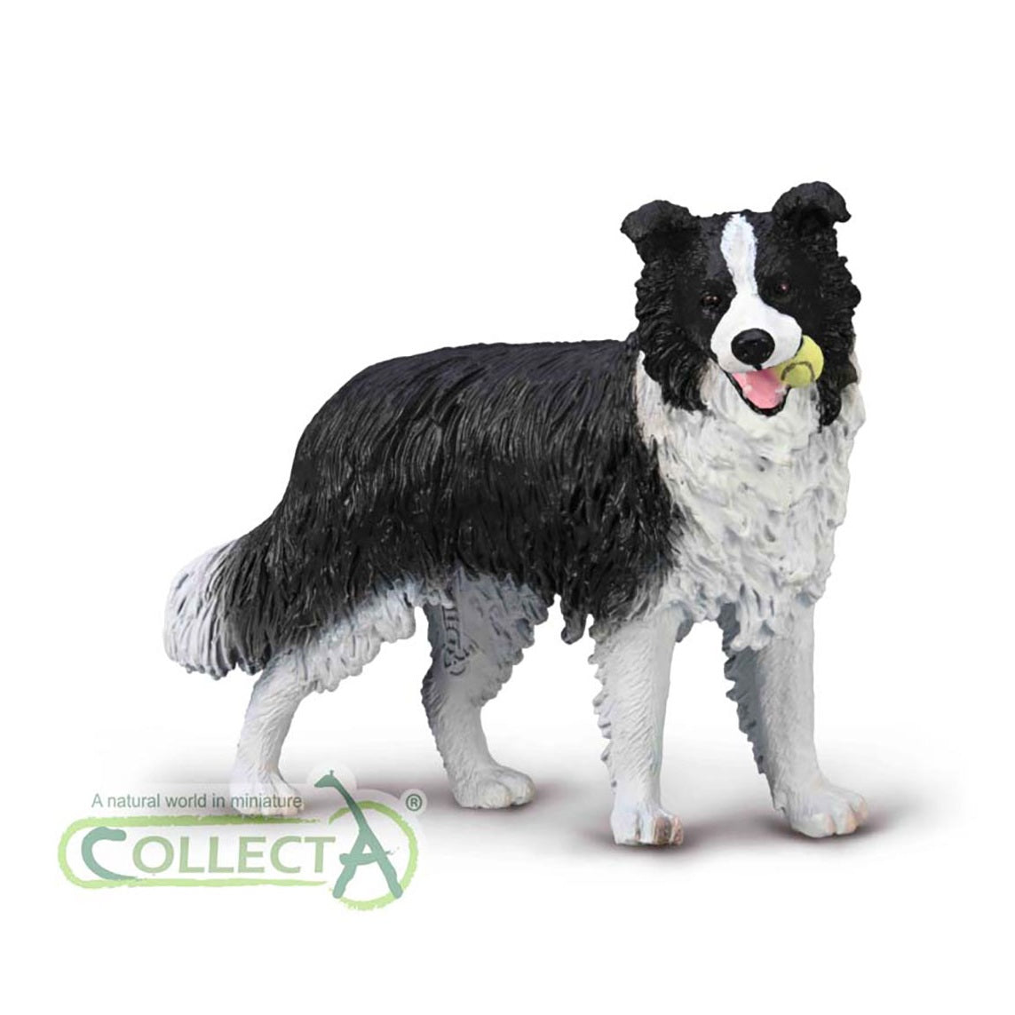 CollectA - 80012 - BORDER COLLIE (L)