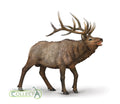 CollectA - 80021 - WAPITI (XL)