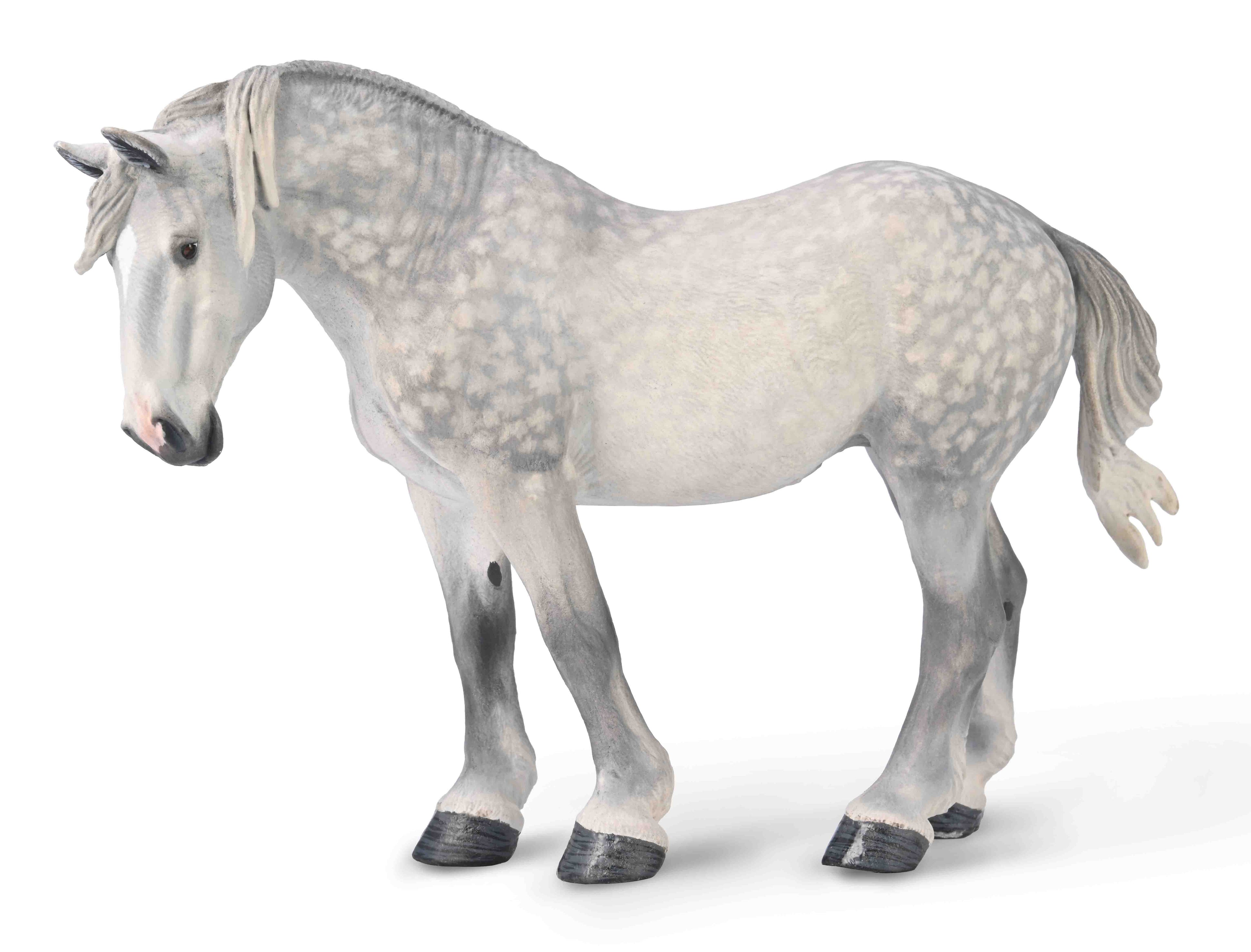 CollectA - 80029 - PERCHERON-STUTE - APFELGRAU (XL)
