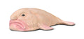 CollectA - 80037 - BLOBFISCH (S)