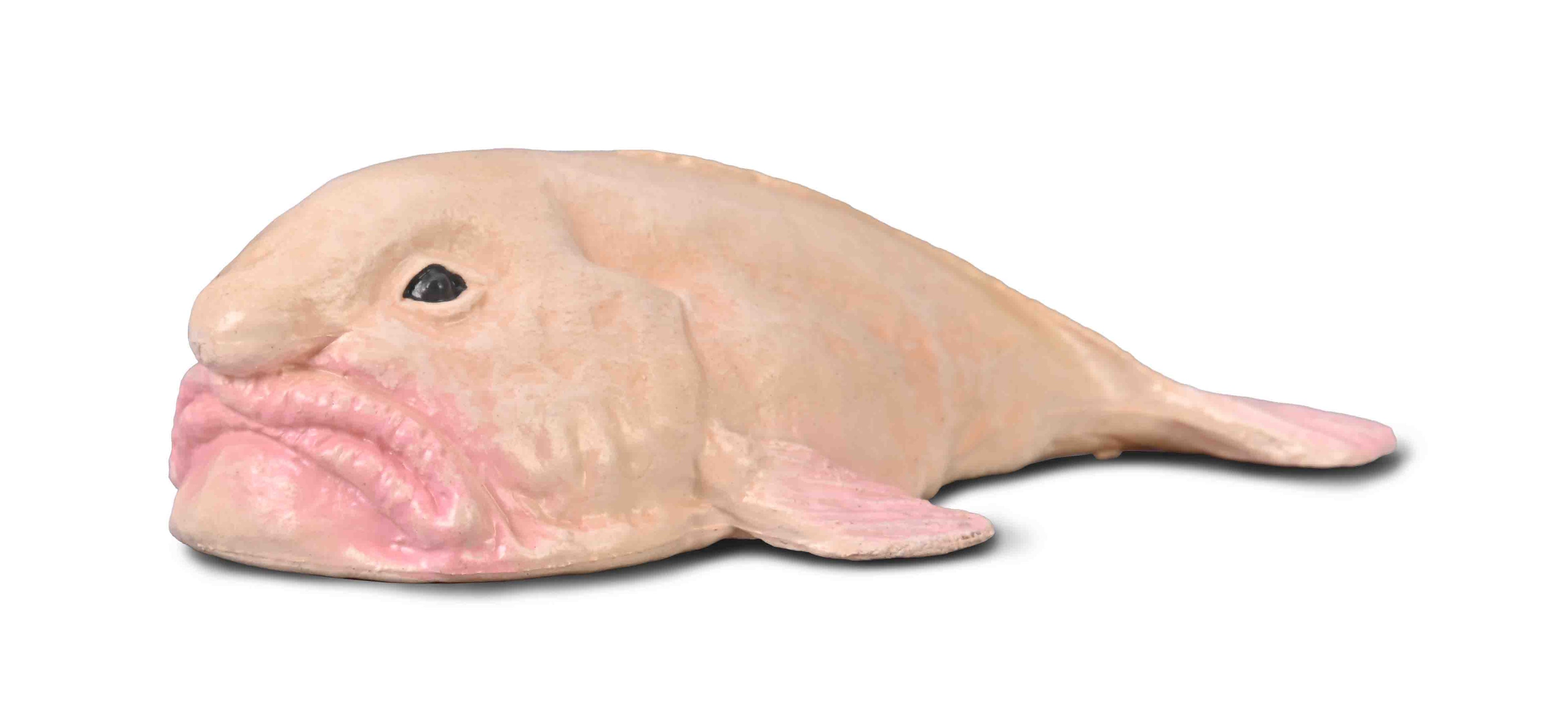 CollectA - 80037 - BLOBFISCH (S)