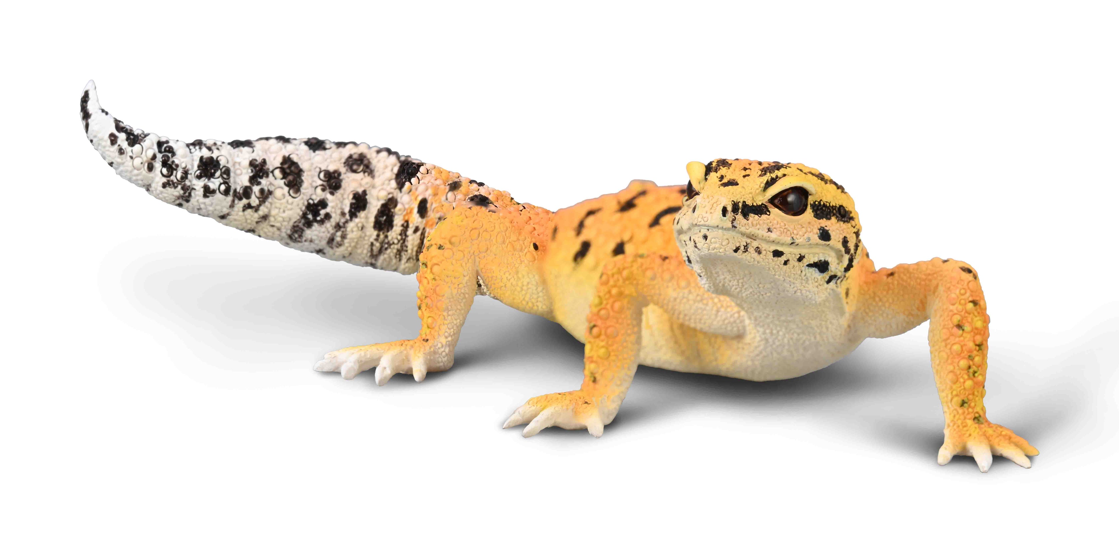 CollectA - 80043 - LEOPARDGECKO (L)