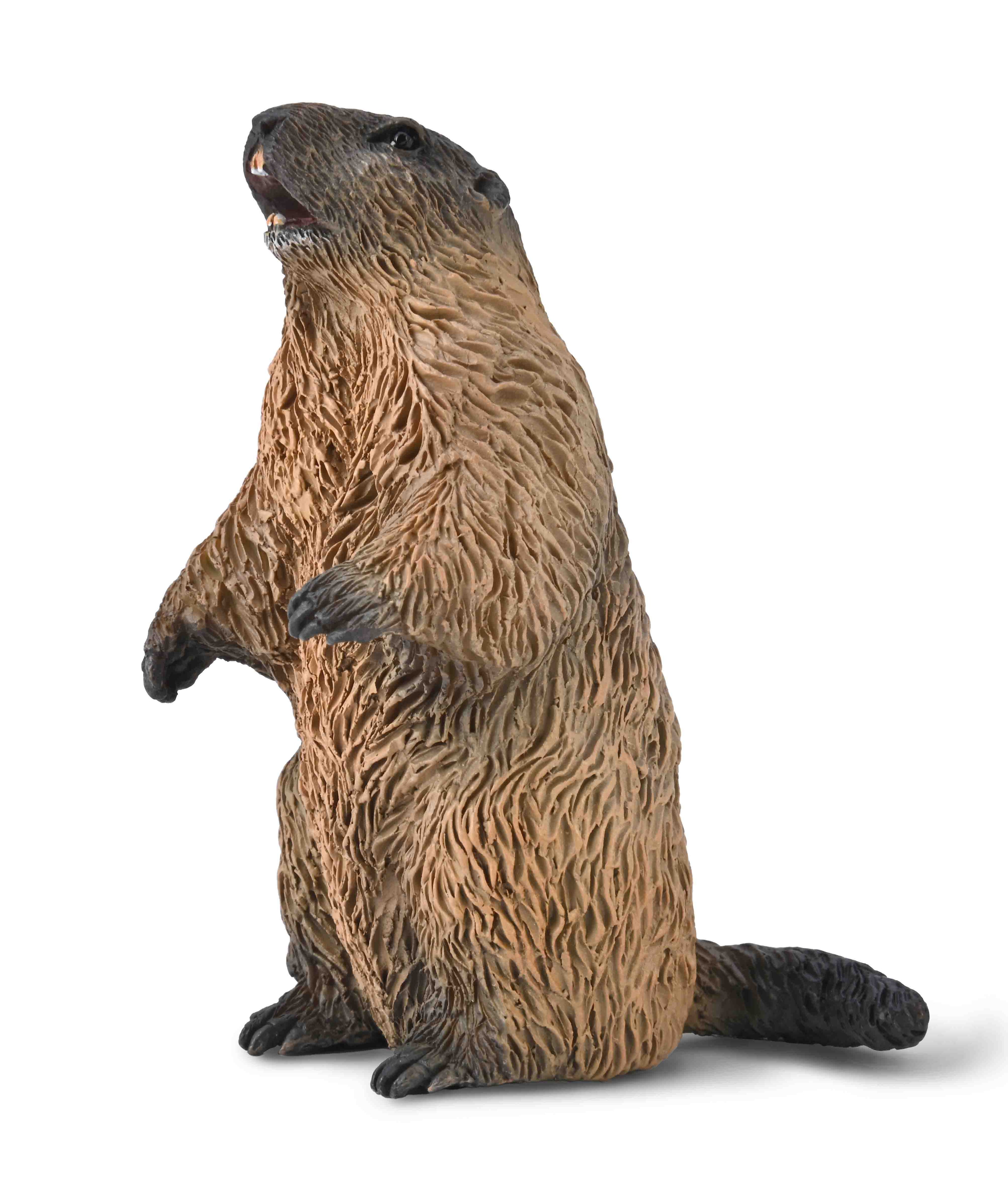CollectA - 80044 - MURMELTIER (S)