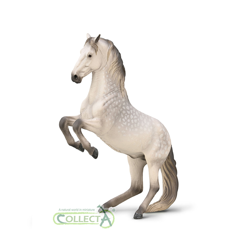 CollectA - 80051 - Lipizzanerhengst Apfelschimmel (XL)
