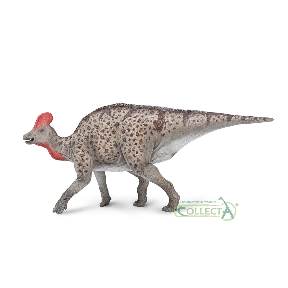 CollectA - 80055 - Magnapaulia (XL)