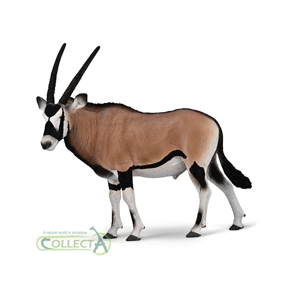 CollectA - 80056 - Gemsbock (XL)