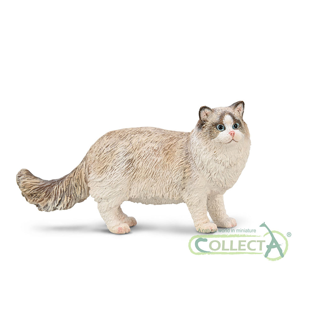 CollectA - 80059 - Ragdoll (M)