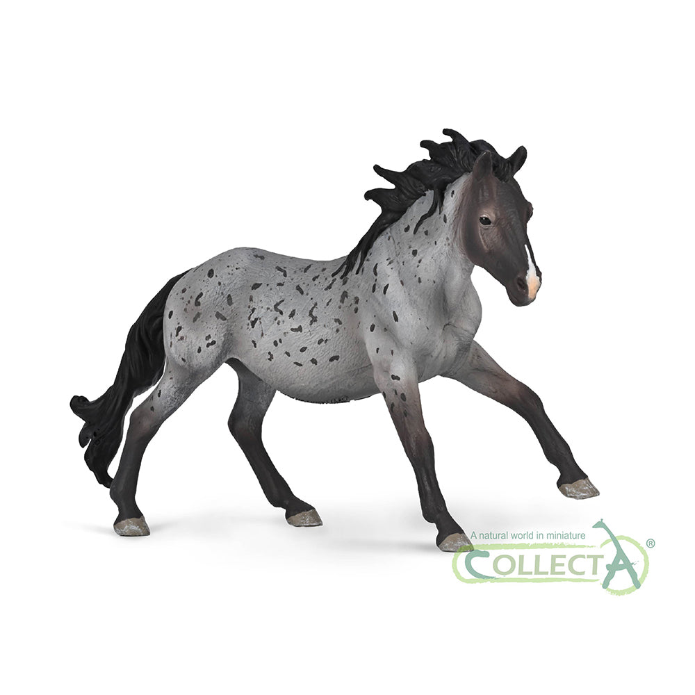 CollectA - 80060 - Nokota Hengst Blauschimmel (XL)
