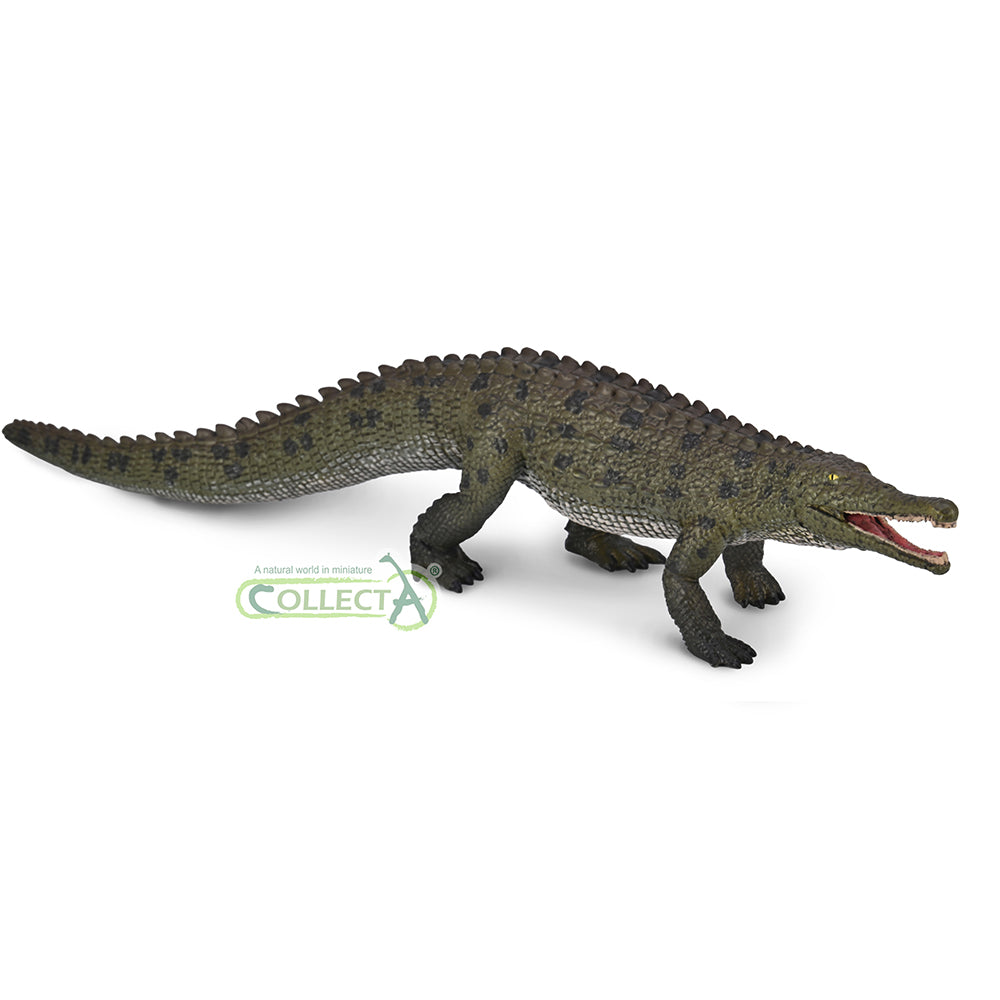 CollectA - 80061 - Colossosuchus techniensis mit beweglichem Kiefer - Maßstab 1:40