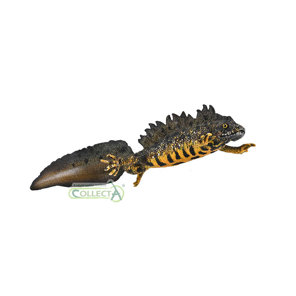 CollectA - 80064 - Kammmolch (L)