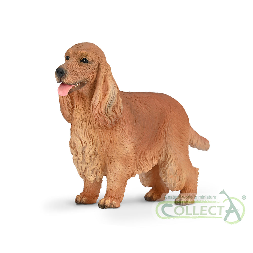 CollectA - 80065 - Englischer Cocker Spaniel (M)