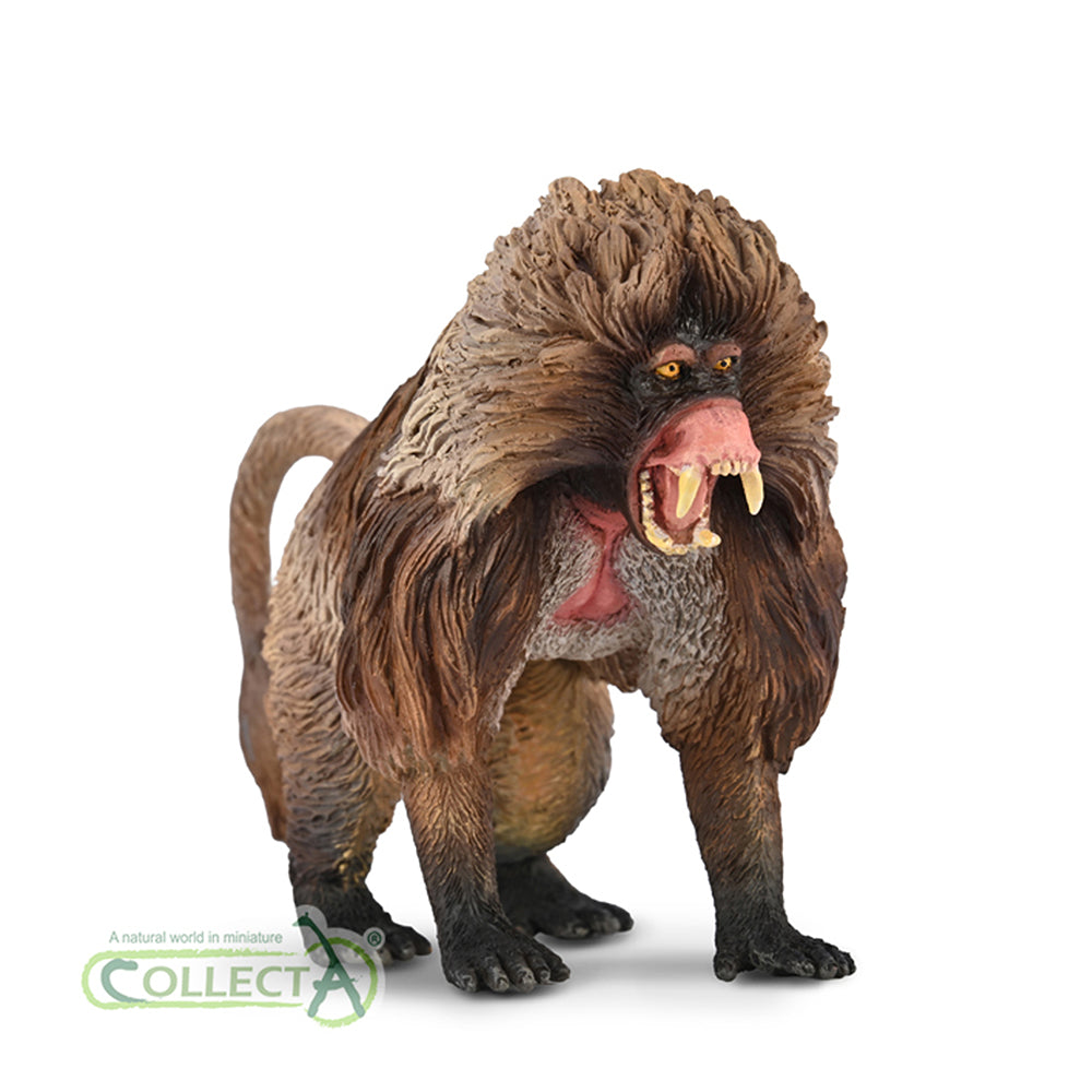 CollectA - 80066 - Gelada (L)