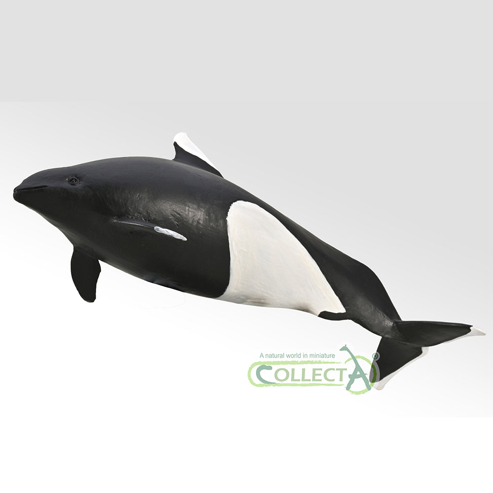 CollectA - 80068 - Dall-Schweinswal (M)