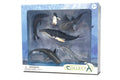 CollectA - 84050 - 6 ST MEERESLEBEN SET WINDOW BOX