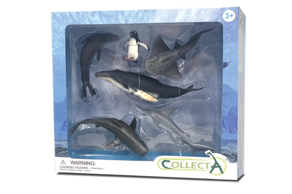 CollectA - 84050 - 6 ST MEERESLEBEN SET WINDOW BOX