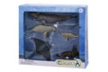 CollectA - 84096 - * 5 ST MEERESLEBEN SET WINDOW BOX