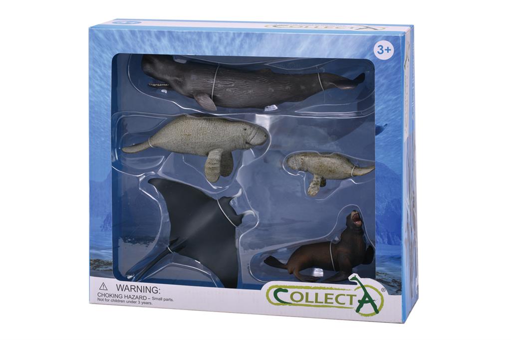 CollectA - 84096 - * 5 ST MEERESLEBEN SET WINDOW BOX