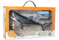 CollectA - 84169 - MEGALODON - 1:40 DELUXE WINDOW BOX