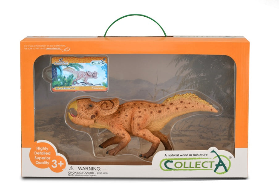 CollectA - 84170 - PROTOCERATOPS - DELUXE WINDOW BOX
