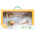 CollectA - 84172 - PRÄHISTORISCHE MEERESKREATUREN, WINDOW BOX