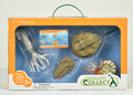 CollectA - 84173 - PRÄHISTORISCHE MEERESKREATUREN, WINDOW BOX