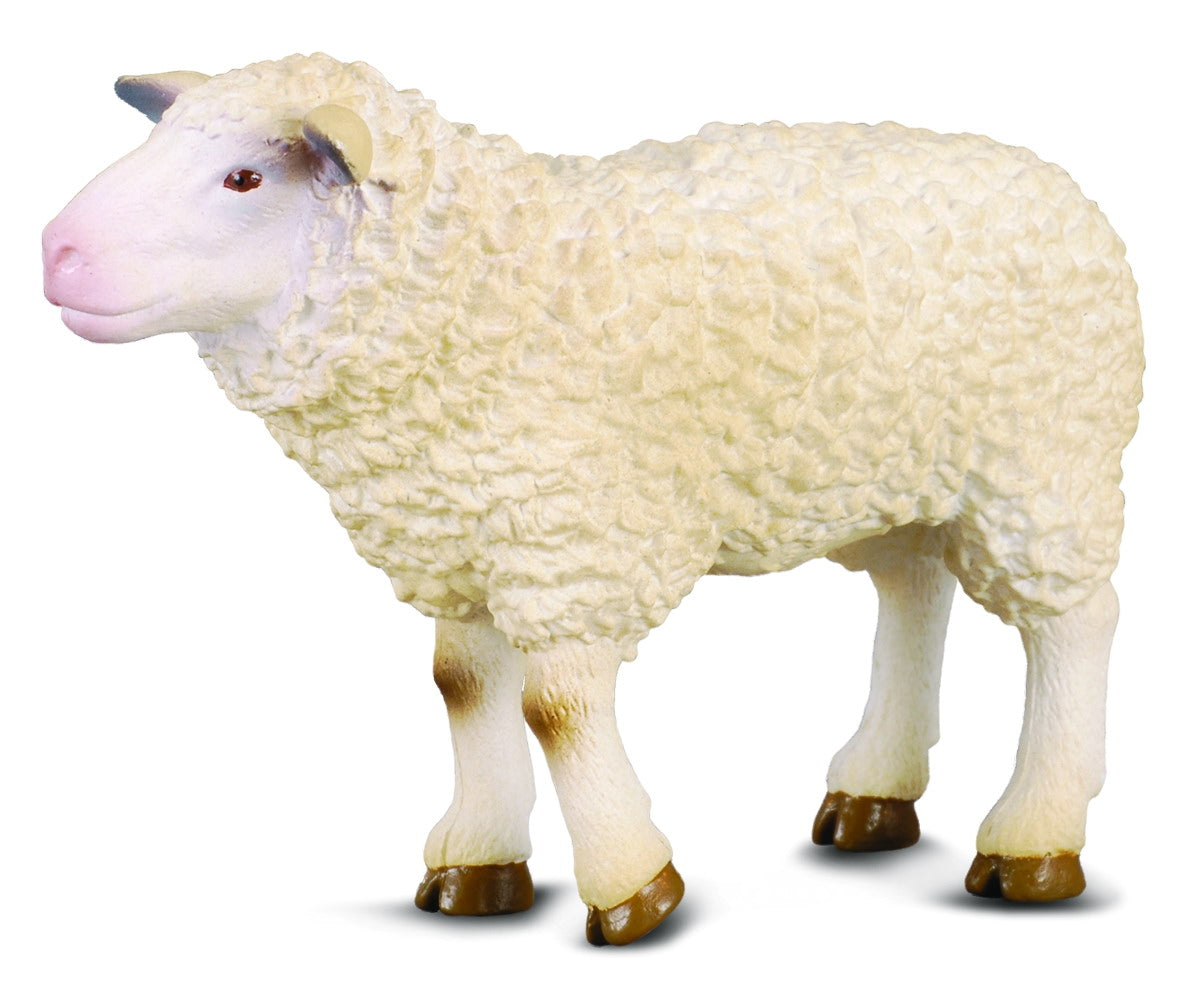 CollectA - 88008 - SCHAF (M)