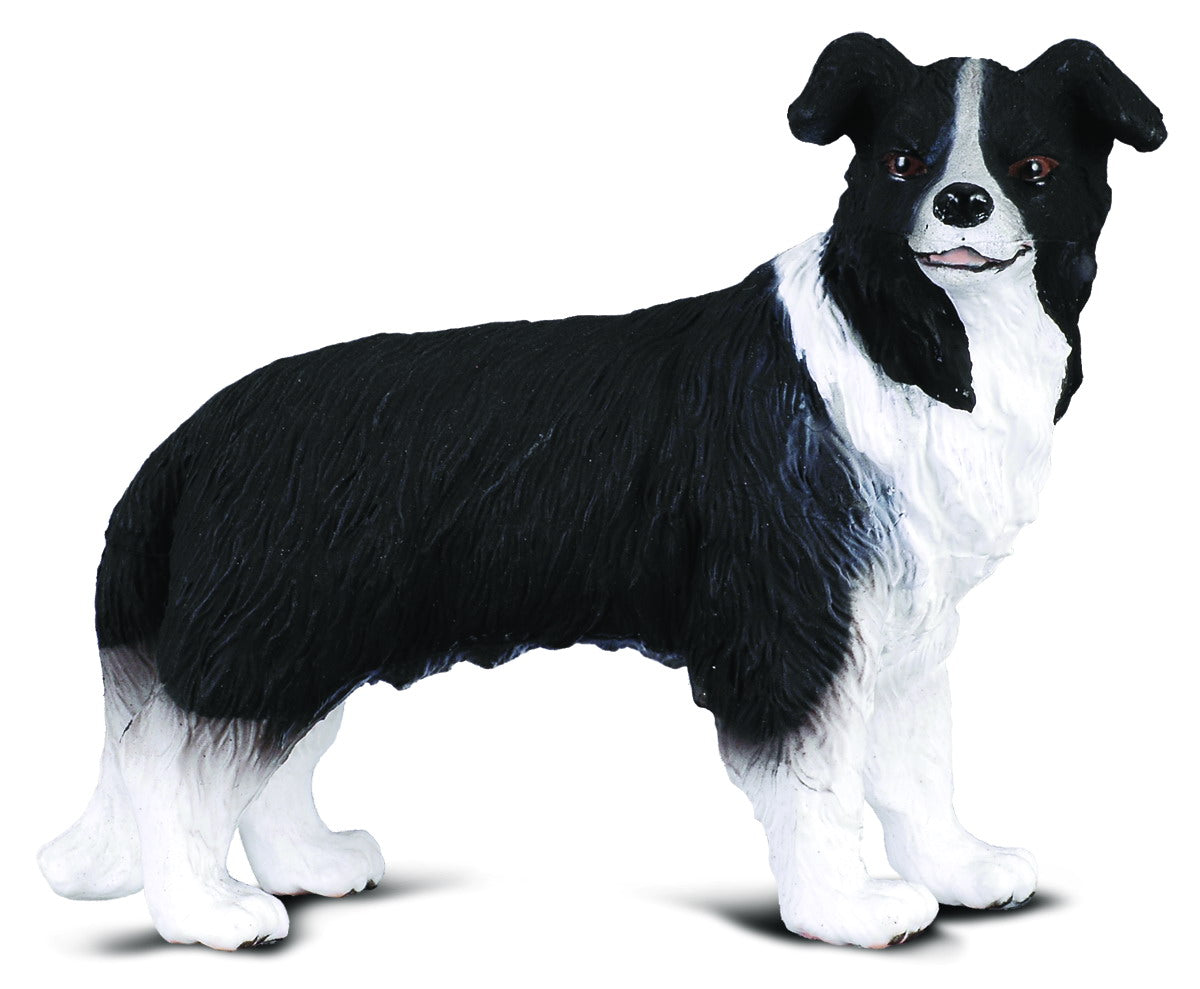 CollectA - 88010 - * BORDER COLLIE (M)