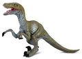 CollectA - 88034 - VELOCIRAPTOR (M)