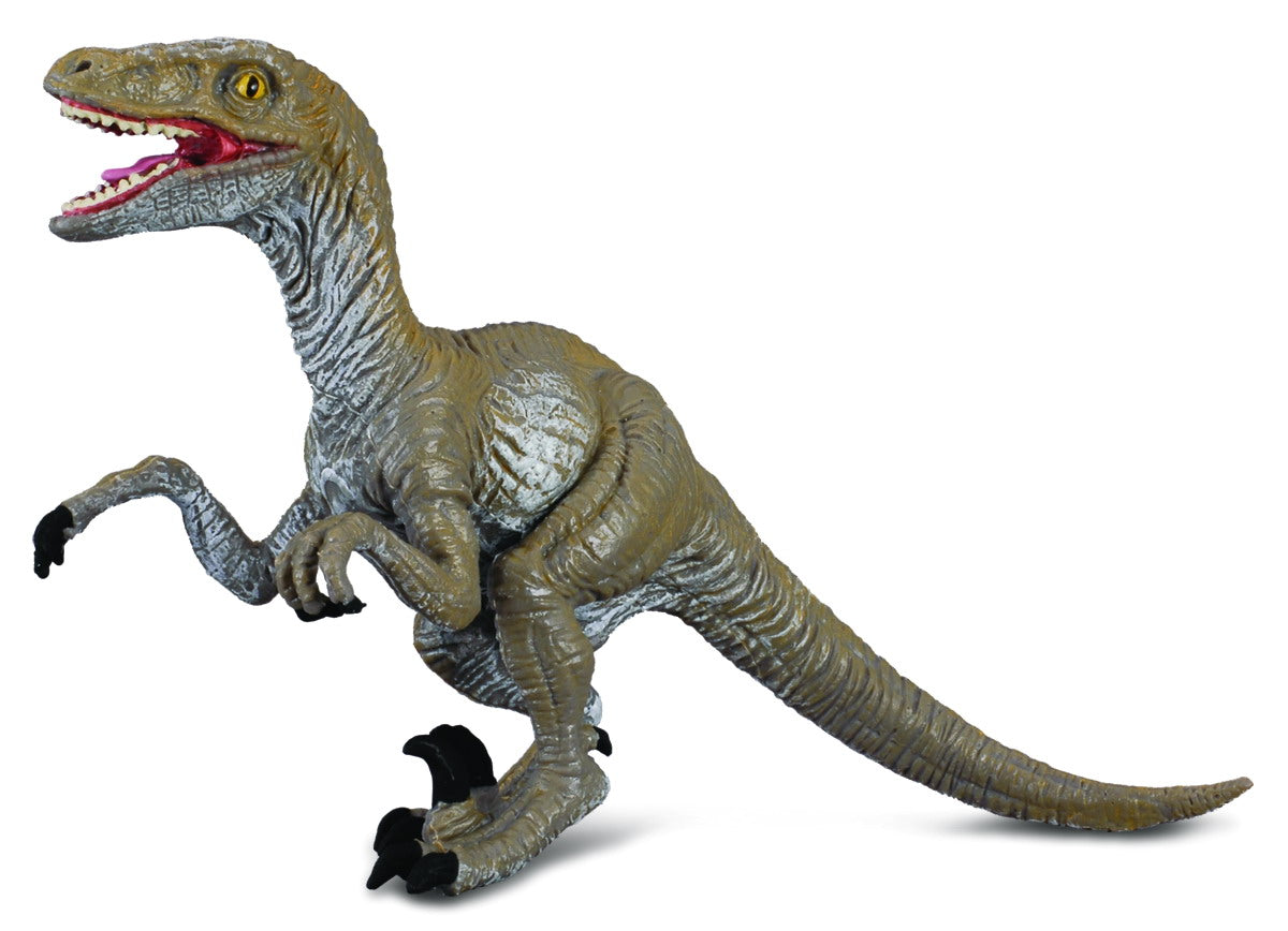 CollectA - 88034 - VELOCIRAPTOR (M)