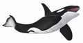 CollectA - 88043 - KILLERWAL (XL)
