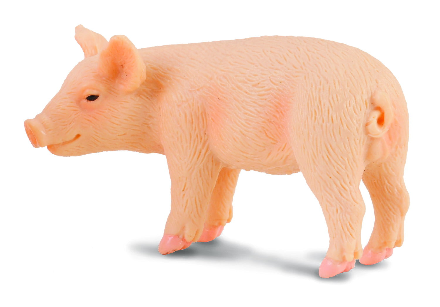 CollectA - 88063 - FERKEL - STEHEND (S)