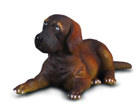 CollectA - 88065 - DEUTSCHE DOGGE - WELPE (S)