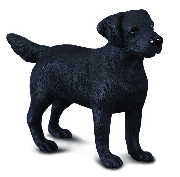 CollectA - 88076 - LABRADOR RETRIEVER (M)