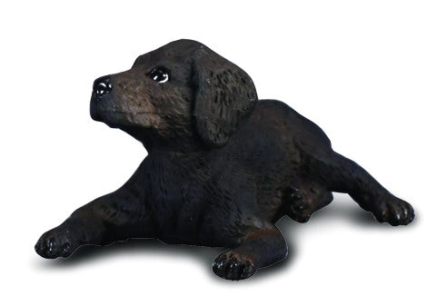 CollectA - 88077 - LABRADOR RETRIEVER - WELPE (S)