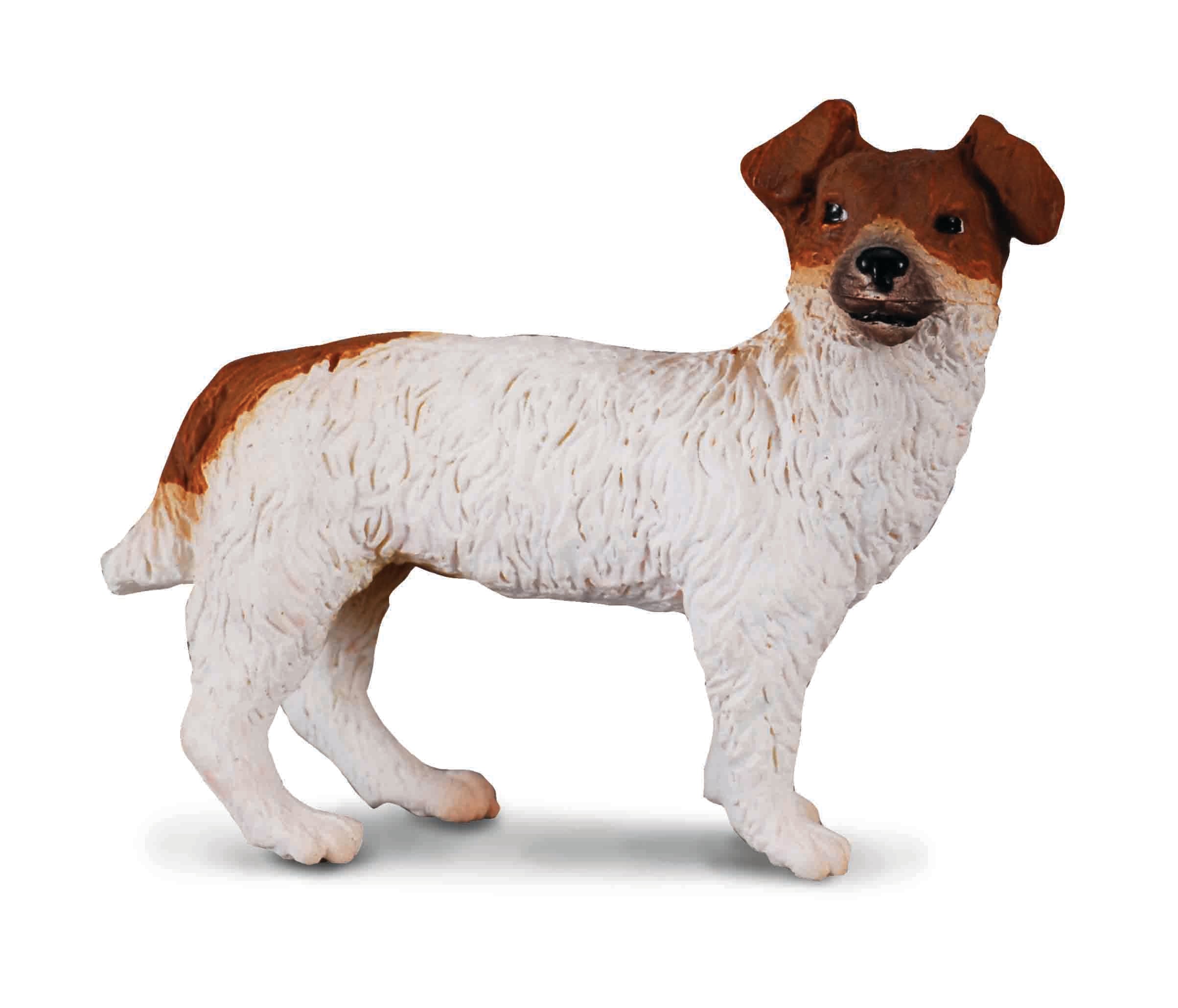 CollectA - 88080 - JACK RUSSEL TERRIER (S)