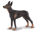 CollectA - 88086 - DOBERMANN PINSCHER (L)