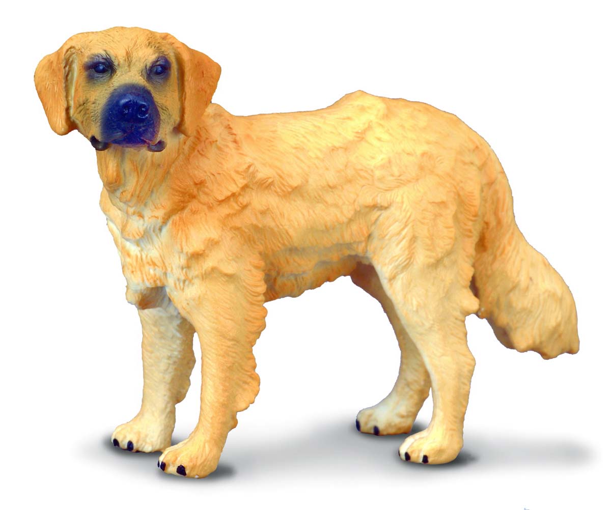 CollectA - 88116 - GOLDEN RETRIEVER (M)