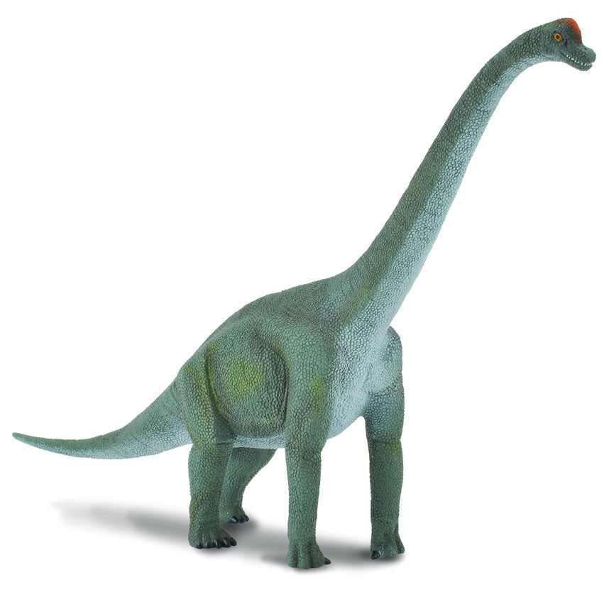 CollectA - 88121 - BRACHIOSAURIER (L)