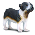 CollectA - 88179 - ENGLISCHE BULLDOGGE (M)