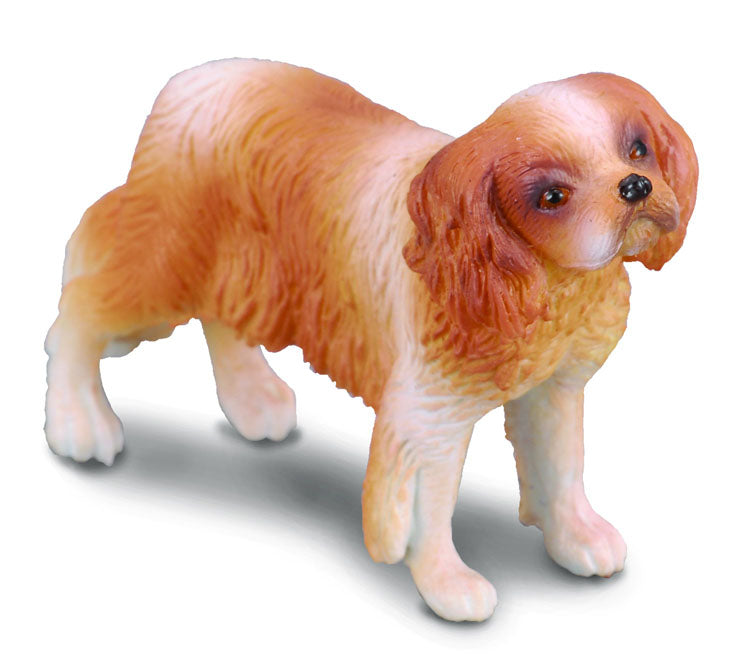 CollectA - 88181 - CAVALIER KING CHARLES SPANIEL (M)
