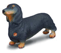 CollectA - 88185 - DACKEL (S)