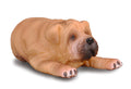 CollectA - 88194 - * SHAR-PEI - WELPE (S)