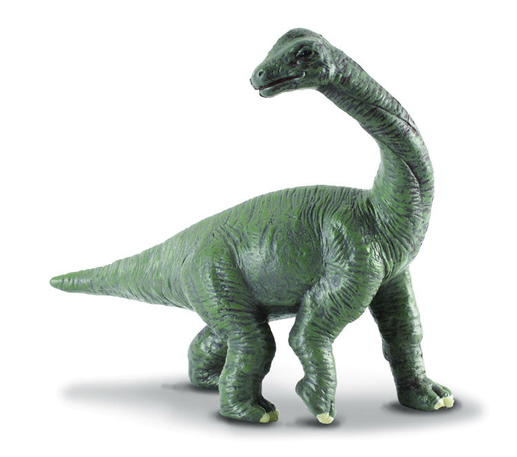 CollectA - 88200 - BRACHIOSAURIER JUNGES (S)