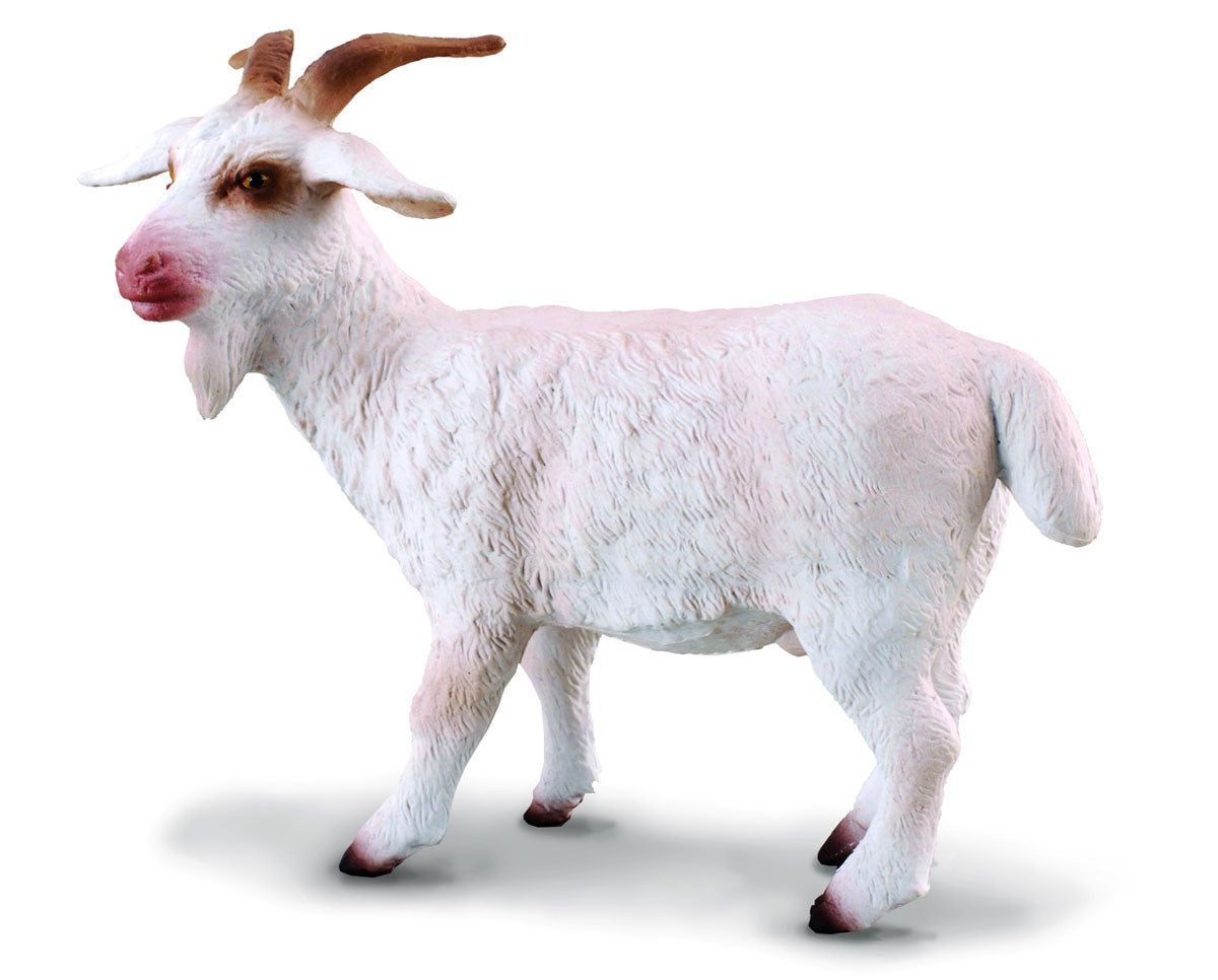 CollectA - 88212 - GEISSBOCK (M)